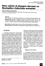 Novos registros de plumagens aberrantes em Muscicapidae e Emberizidae neotropicais